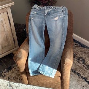 Silver Jean (ELYSE) Capri